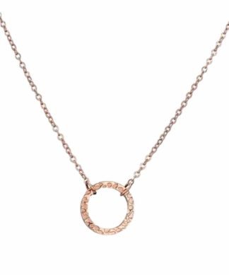 Collier cercle acier tendance 2024